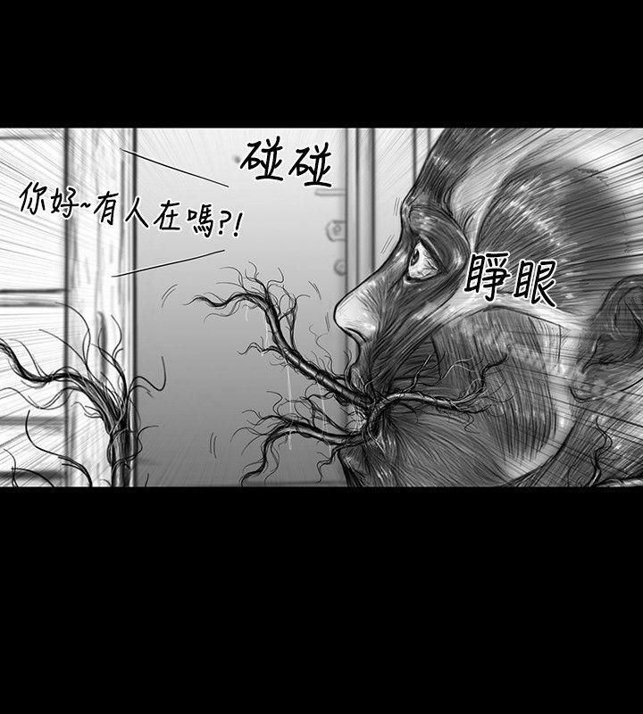 《SEEDTheBeginning》漫画 The111Beginning111第20話