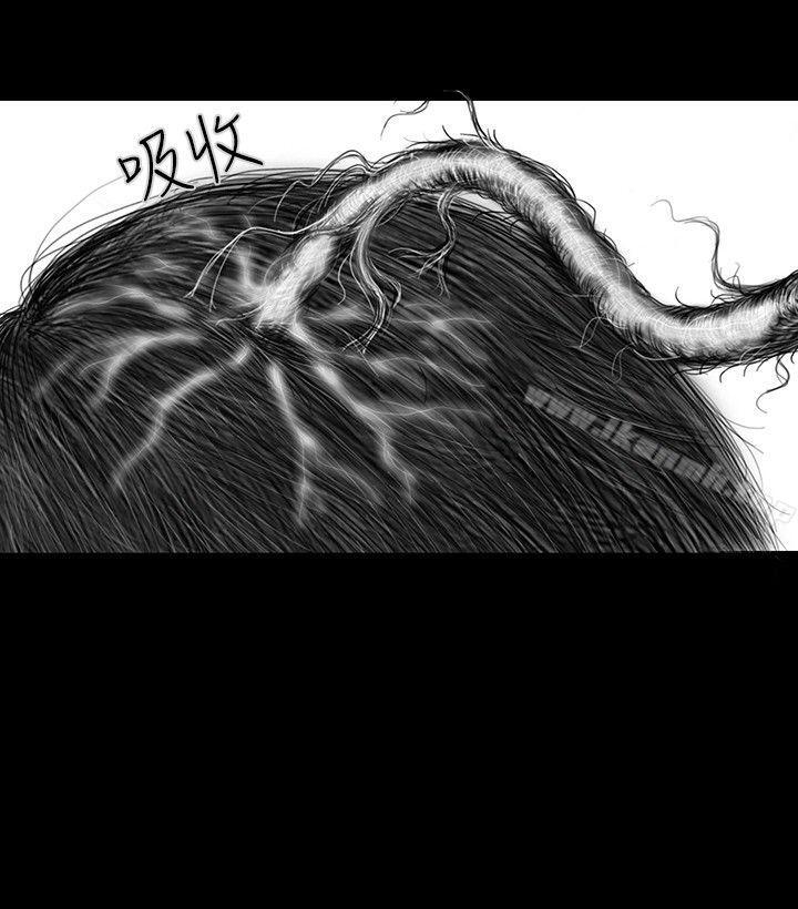 《SEEDTheBeginning》漫画 The111Beginning111第22話