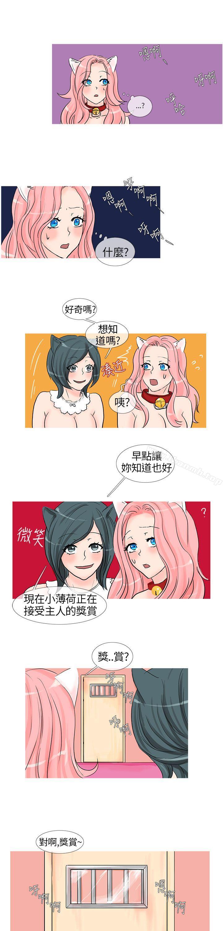 《小野貓馴服手冊》漫画 第9話