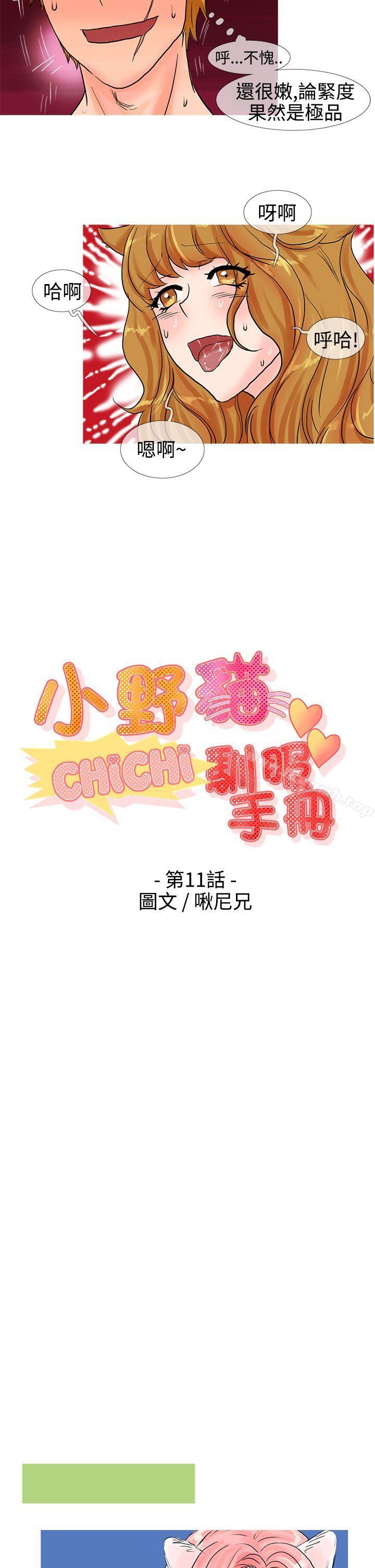 《小野貓馴服手冊》漫画 第11話