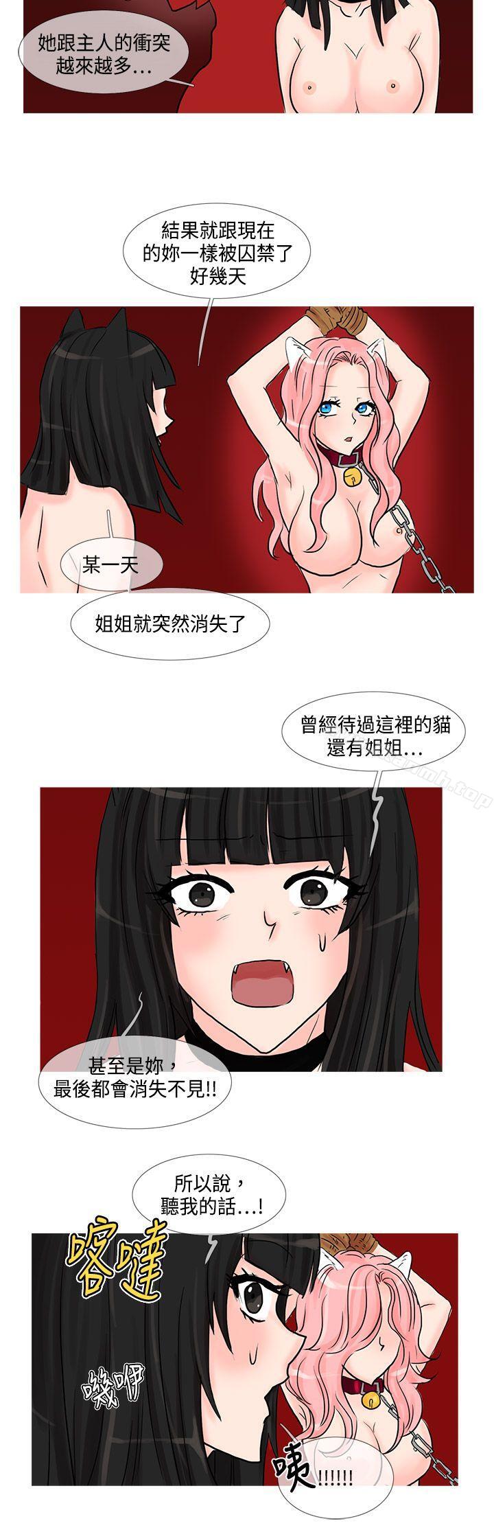 《小野貓馴服手冊》漫画 第16話