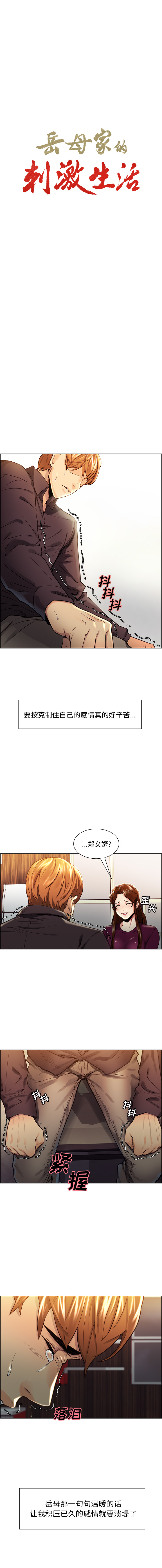 《岳母家的刺激生活》漫画 第30话