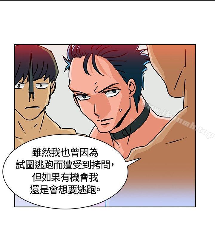 《豬仔農場(完結)》漫画 第13話