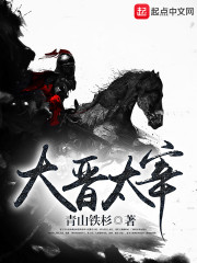 大晉太宰小說
