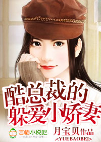 奪愛小說