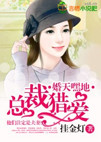 婚天嘿地，總裁獵愛小說
