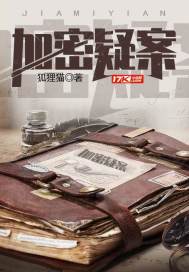加密疑案小說