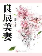 良辰美妻小說