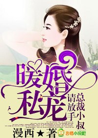 暖婚私寵，總裁小叔請放手小說