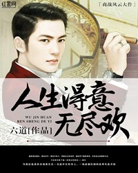 人生得意無盡歡小說