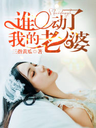 誰動了我的老婆小說