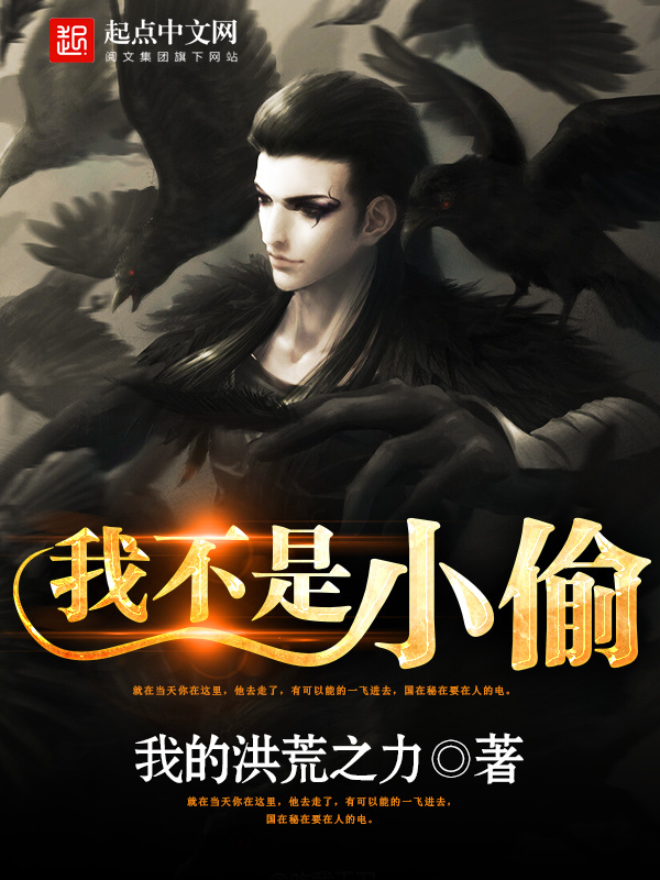 我不是小偷小說