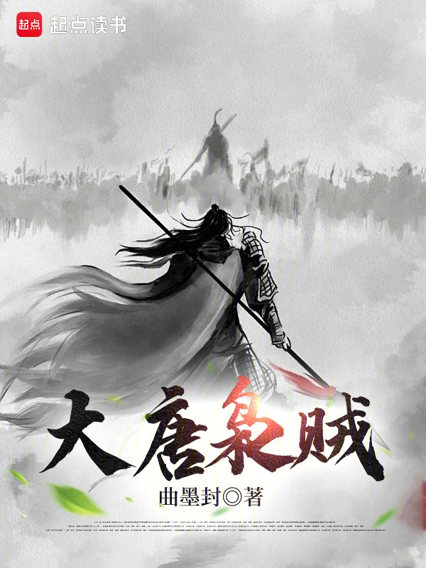 大唐梟賊小說