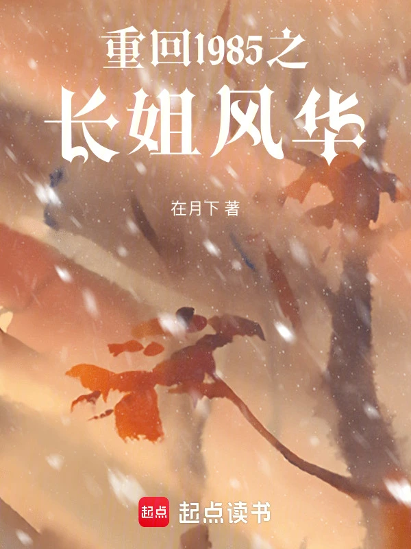 重回1985之長姐風華小說