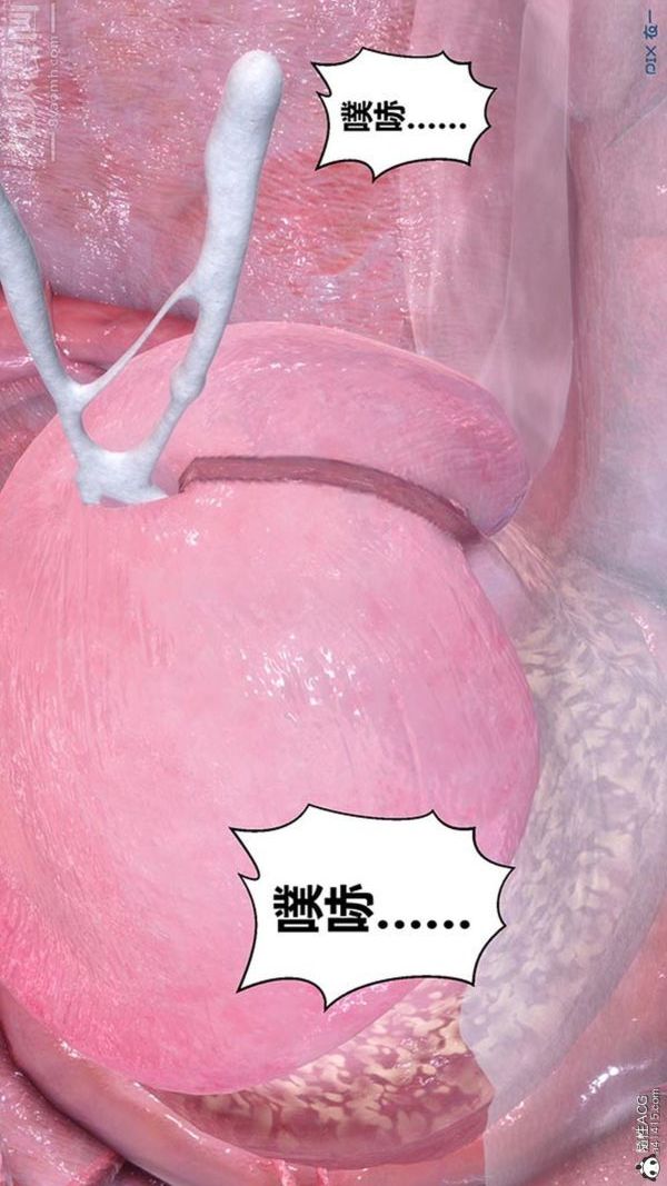 《[3D]秘密番外陳夢雪篇》漫画 第02章-04坠落之华