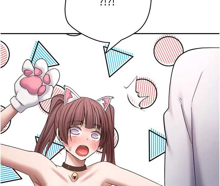 《幣轉人生》漫画 第54話-三隻淫亂的母貓