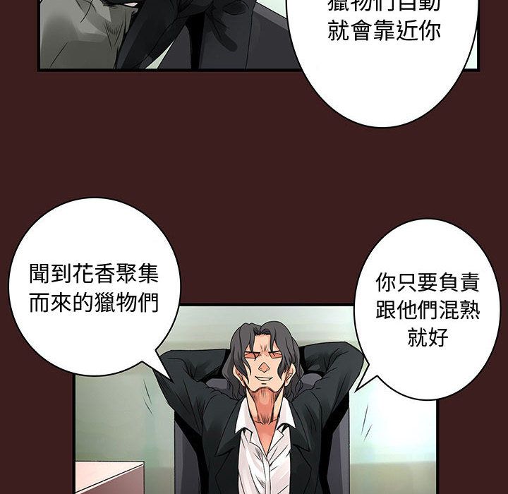 《菜鳥藍薺理》漫画 第19話