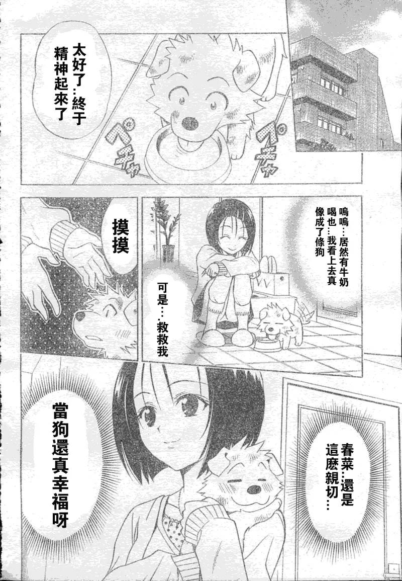 《出包王女》漫画 tolove043集
