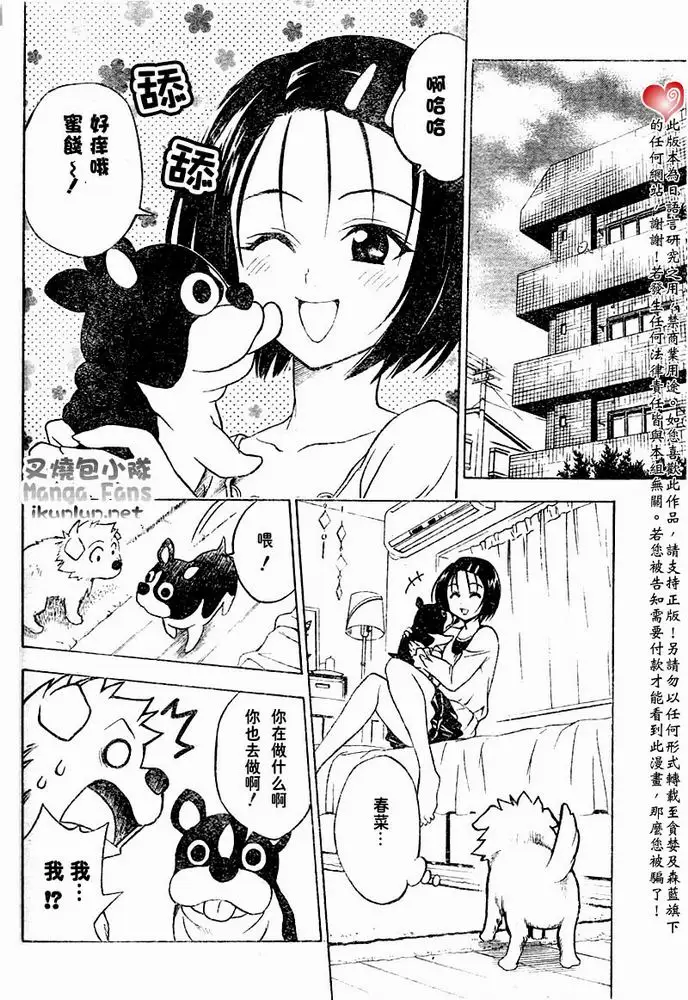 《出包王女》漫画 tolove044集