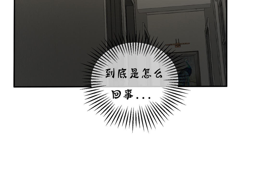 《夫人的禮物》漫画 第17話
