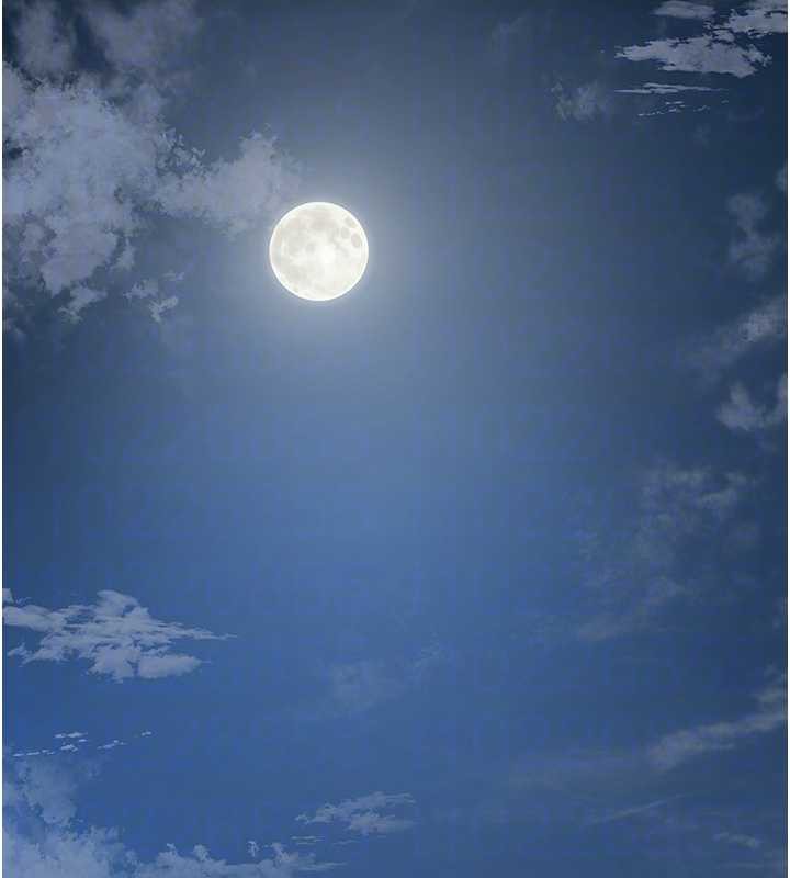 《花容濕色:取花點》漫画 第79話-昨晚你真粗魯&hellip;