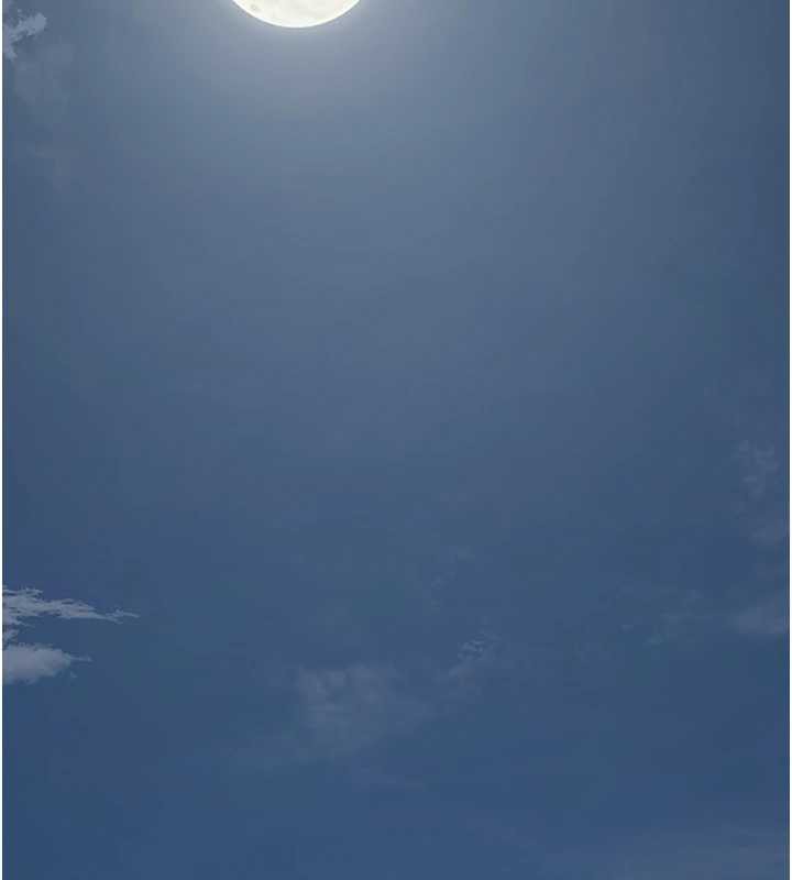 《花容濕色:取花點》漫画 第80話-秋香小姐是屬於我的