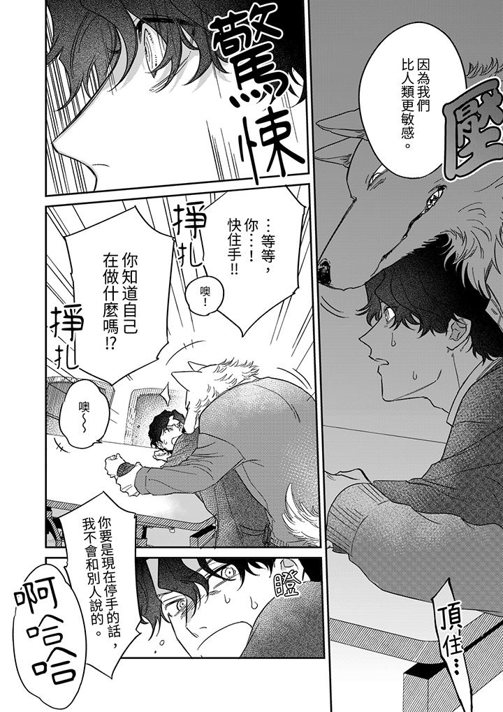 《狼大人专情的霸道之爱》漫画 第11話