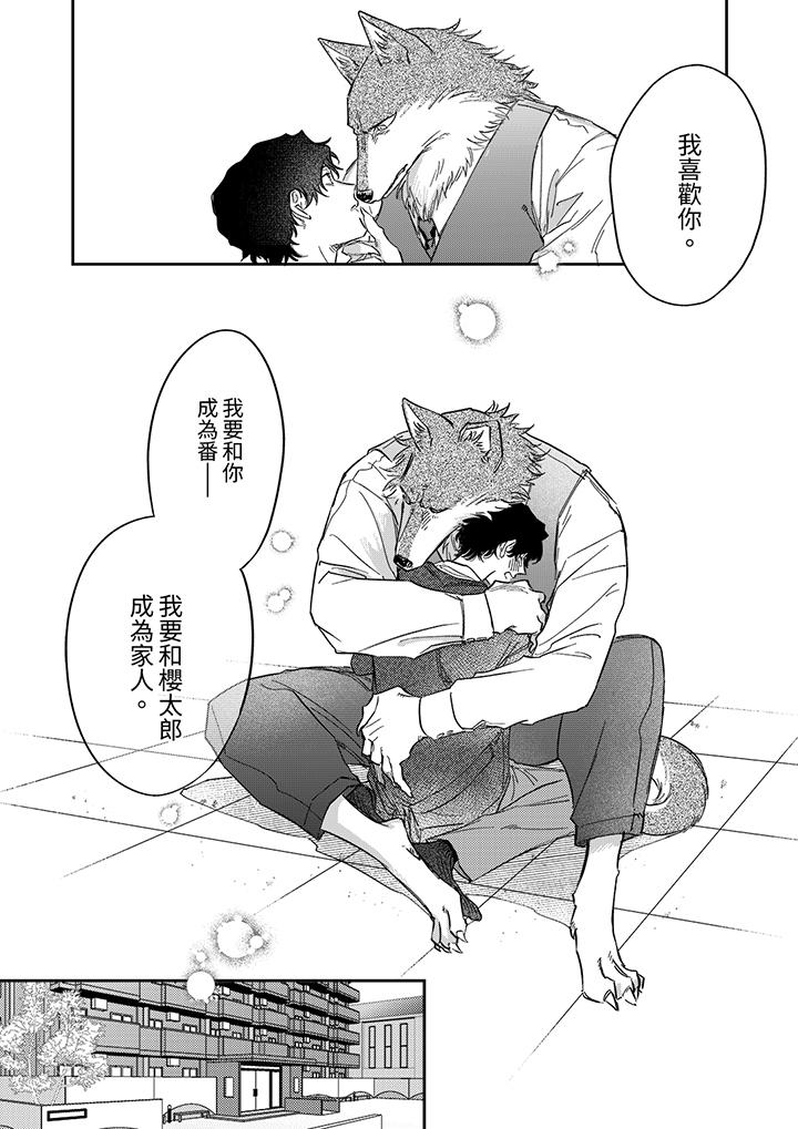 《狼大人专情的霸道之爱》漫画 第12話