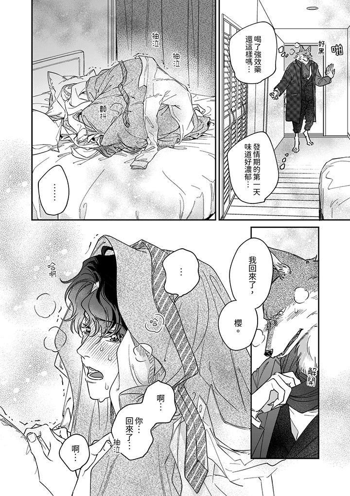 《狼大人专情的霸道之爱》漫画 第13話