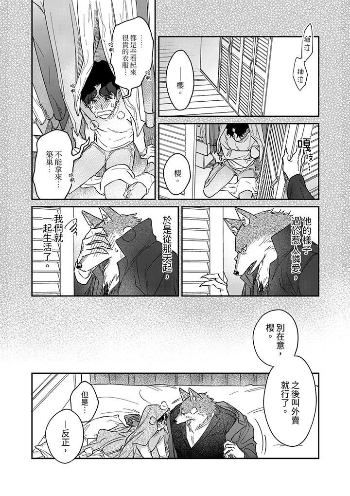 《狼大人专情的霸道之爱》漫画 第13話