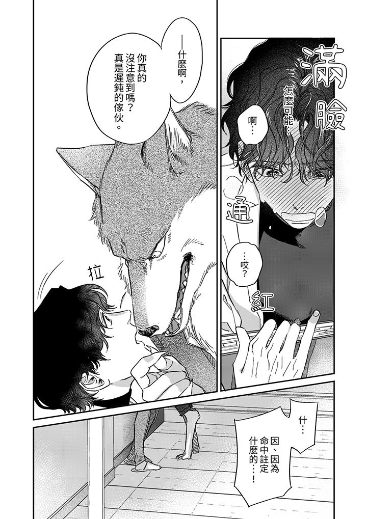 《狼大人专情的霸道之爱》漫画 第4話