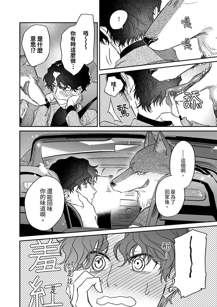 《狼大人专情的霸道之爱》漫画 第8話