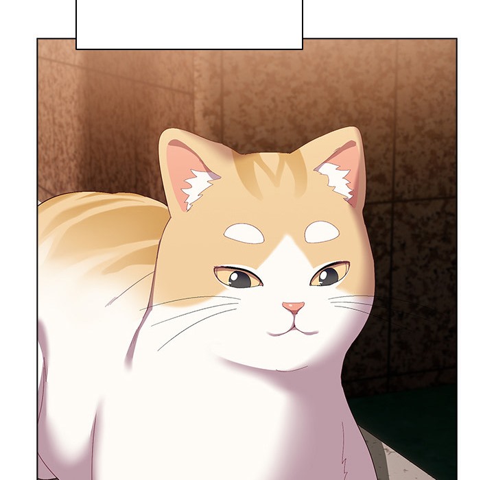 《貓貓牽紅線》漫画 第1話