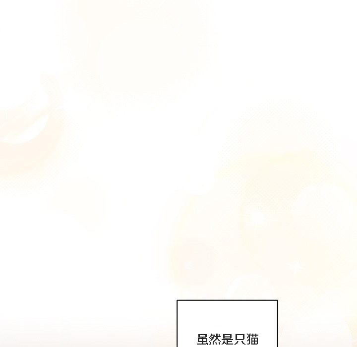 《貓貓牽紅線》漫画 第1話