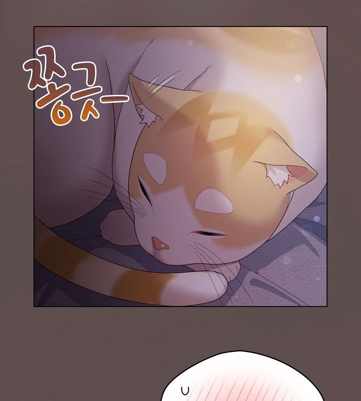 《貓貓牽紅線》漫画 第10話