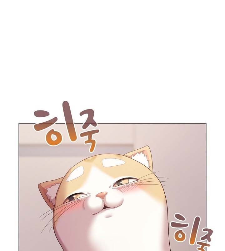 《貓貓牽紅線》漫画 第10話