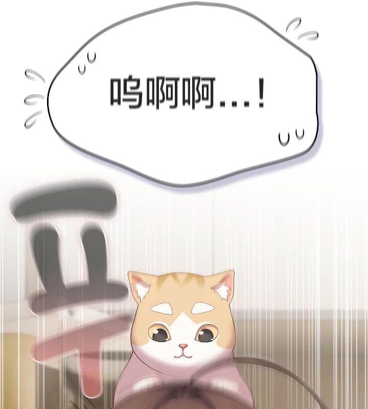 《貓貓牽紅線》漫画 第11話