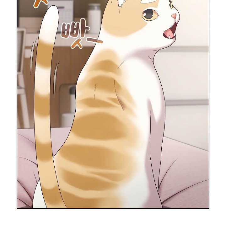 《貓貓牽紅線》漫画 第11話