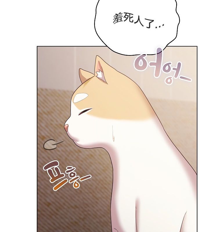 《貓貓牽紅線》漫画 第11話