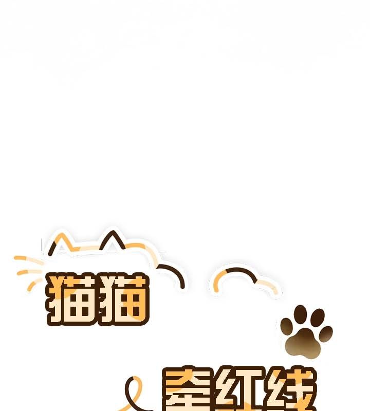 《貓貓牽紅線》漫画 第12話