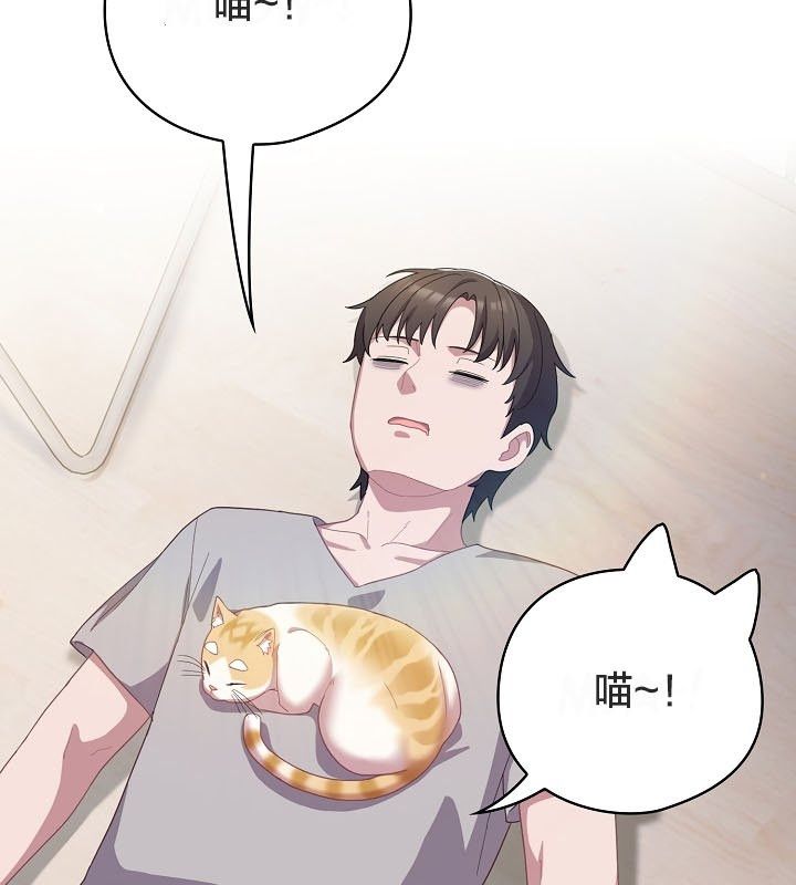 《貓貓牽紅線》漫画 第12話