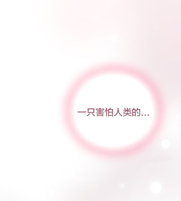 《貓貓牽紅線》漫画 第13話