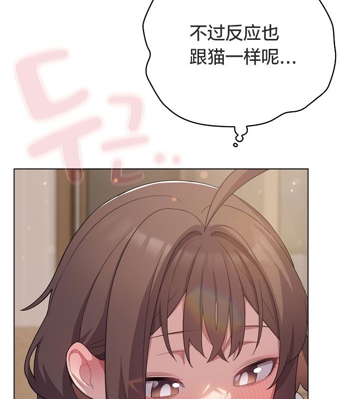 《貓貓牽紅線》漫画 第13話