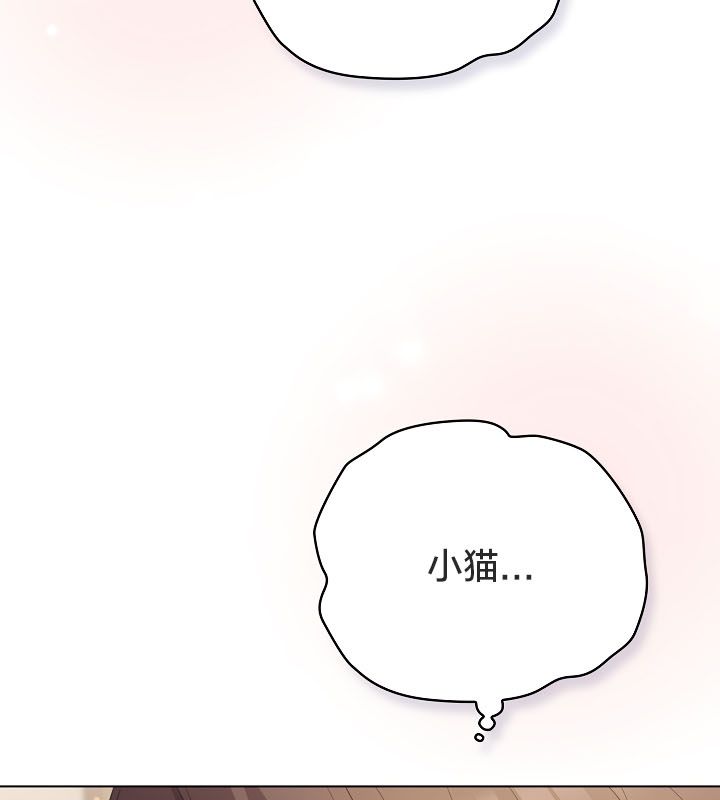 《貓貓牽紅線》漫画 第13話