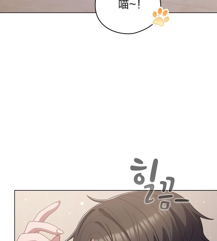 《貓貓牽紅線》漫画 第13話