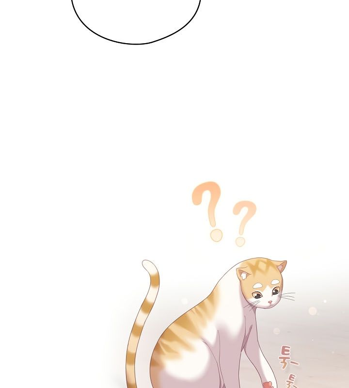 《貓貓牽紅線》漫画 第13話