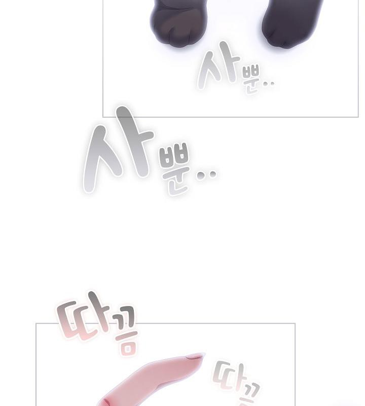 《貓貓牽紅線》漫画 第14話