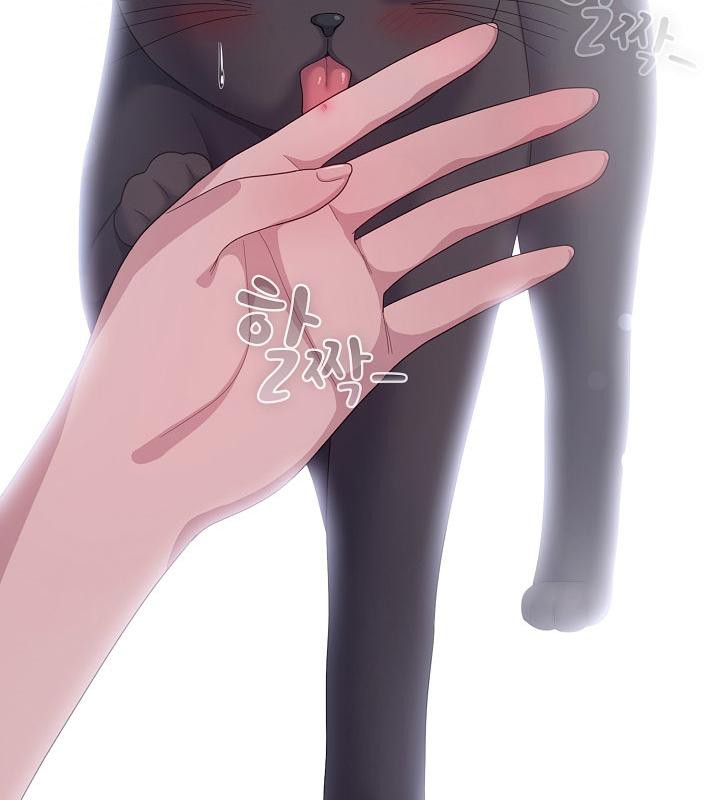 《貓貓牽紅線》漫画 第14話