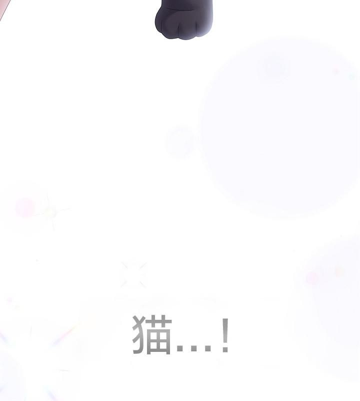 《貓貓牽紅線》漫画 第14話