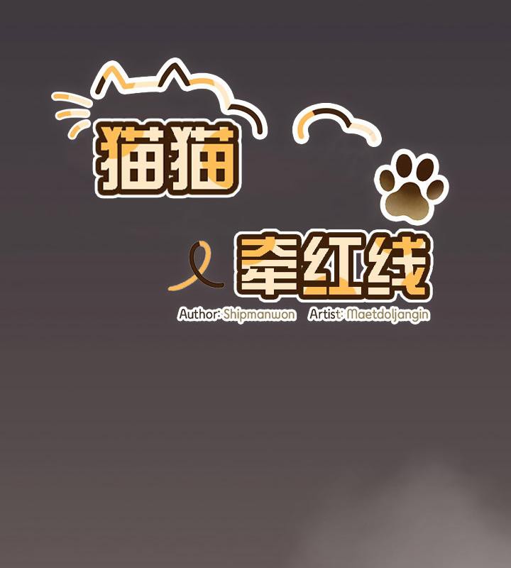 《貓貓牽紅線》漫画 第14話